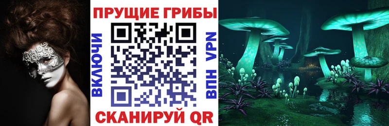 нарко площадка наркотические препараты  Белорецк  гидра как зайти  Псилоцибиновые грибы ЛСД  наркотики 